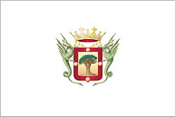 Bandera Oficial de la Villa de La Orotava